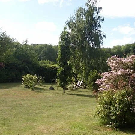 Reetdach - 