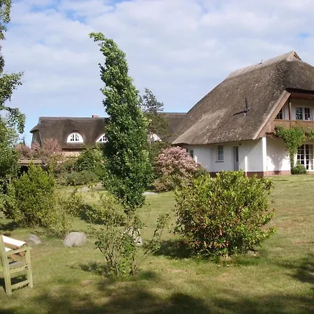 Reetdach - 