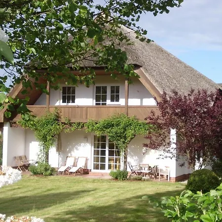 Reetdach - 