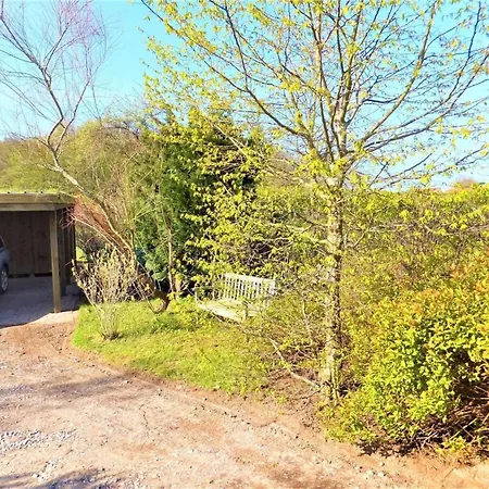 Reetdach - 