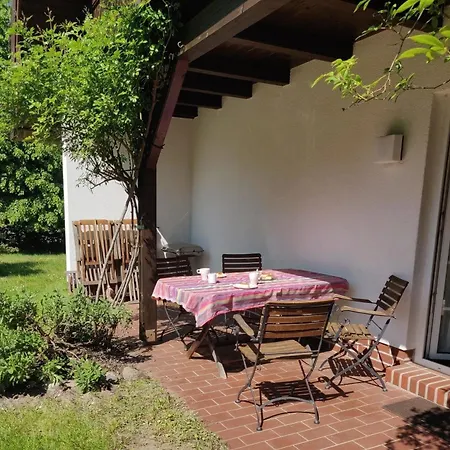 Reetdach - 