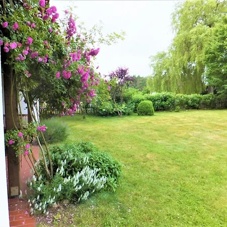 Reetdach - 