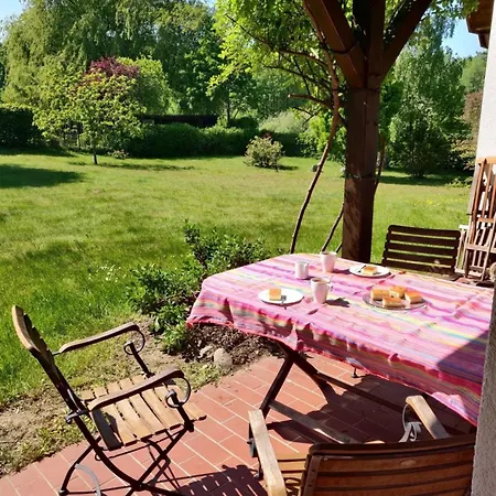 Reetdach - 