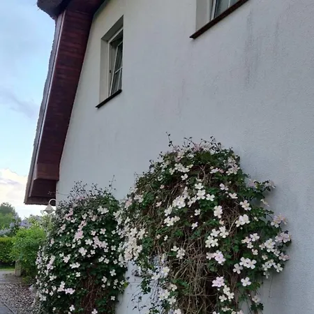 Apartment Reetdach - 